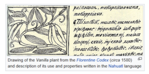 Photo pictures handwriting, drawing of the vanilla plant and description of its use.