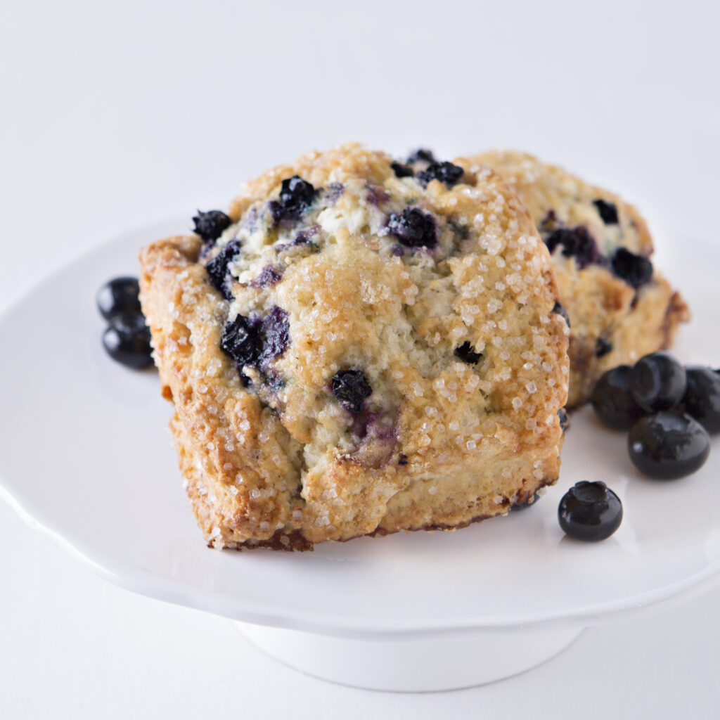 Artisan Blueberry Scone, IW